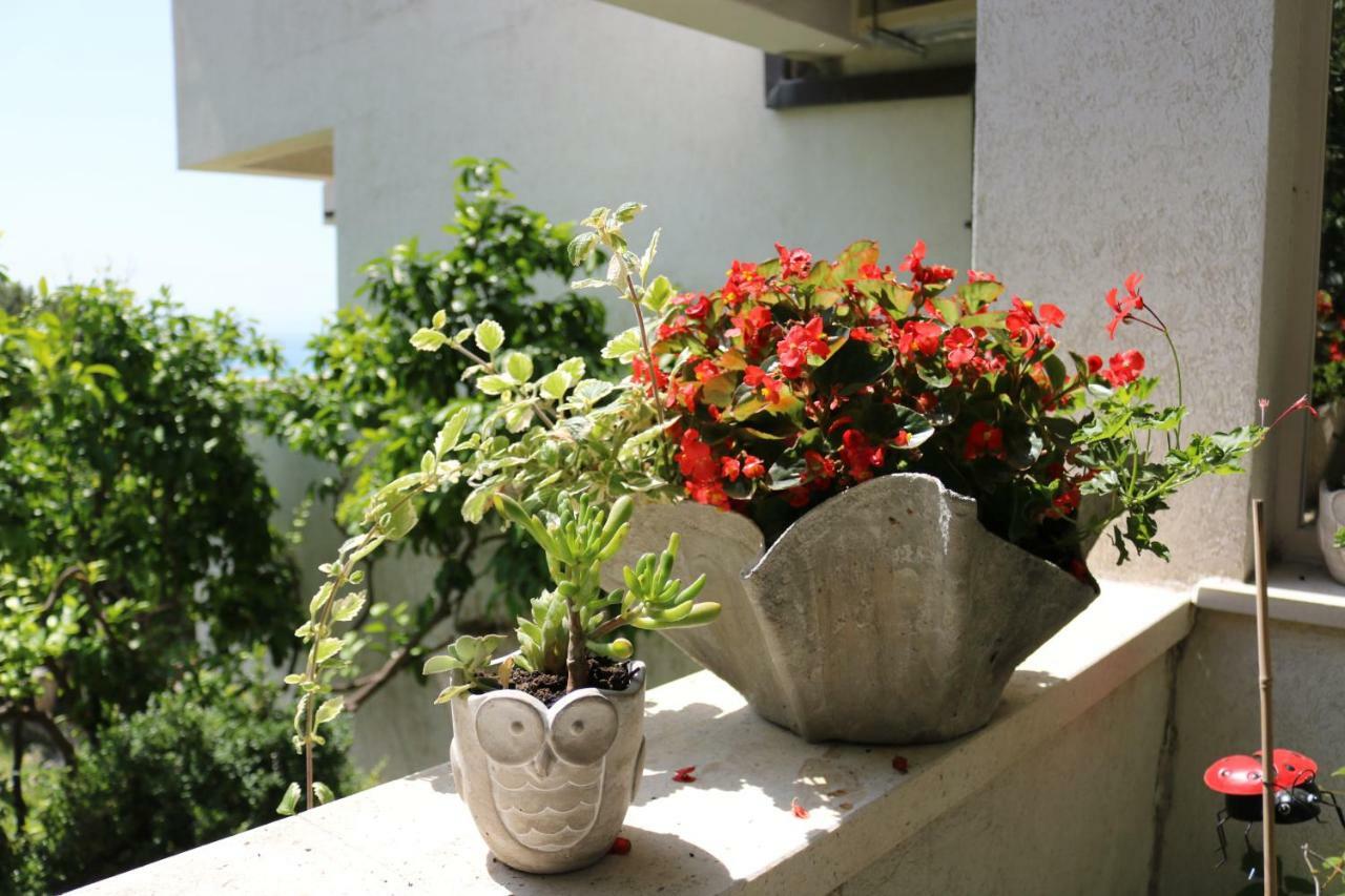 Beautifull Sea View Apartment Baska Voda Exterior photo